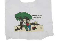 ציצית דגם " תורת ה' תמימה"